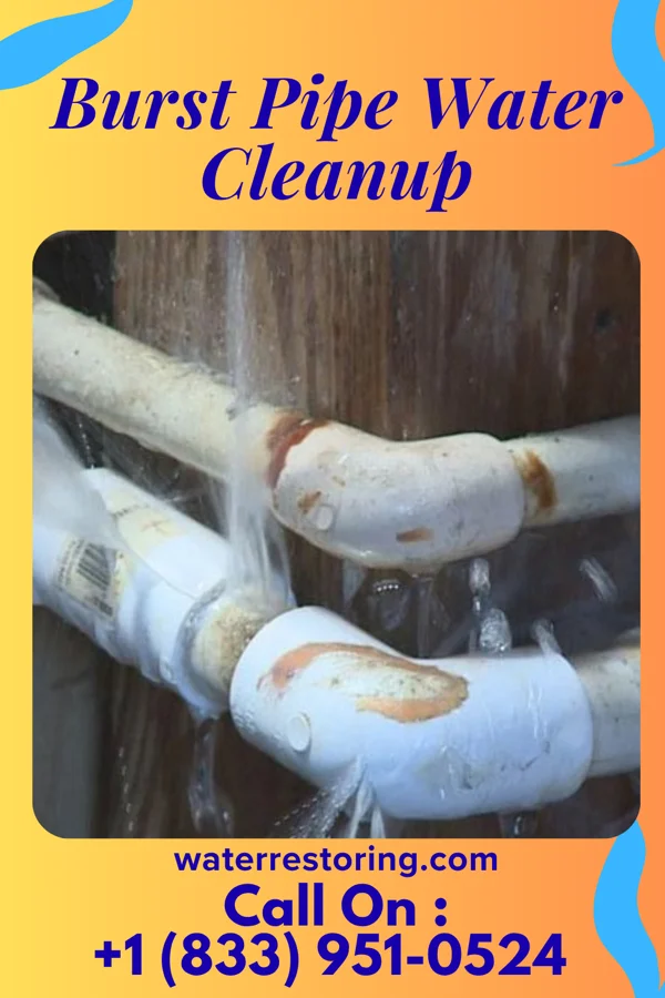 Burst Pipe Water Cleanup in Spring Hill, IA