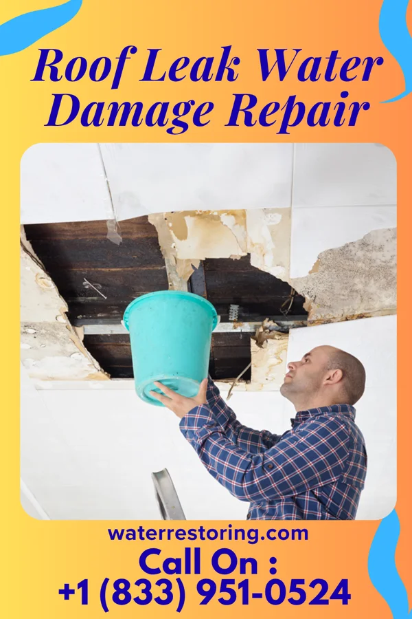 Roof Leak Water Damage Repair in Spring Hill, IA